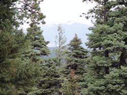 Hidden Lake Lot 30