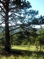 Lot 168 AF Village West