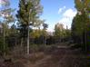 Lot 42 Taos Pines Ranch