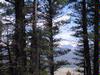 Lot 389, Chalet 2 D Amended, Angel Fire, New  87710