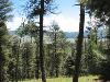 Lot 13 Taos Pines Ranch